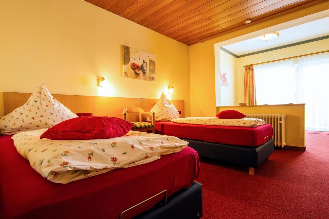 Hotelpension Schroeder Willingen  Dış mekan fotoğraf