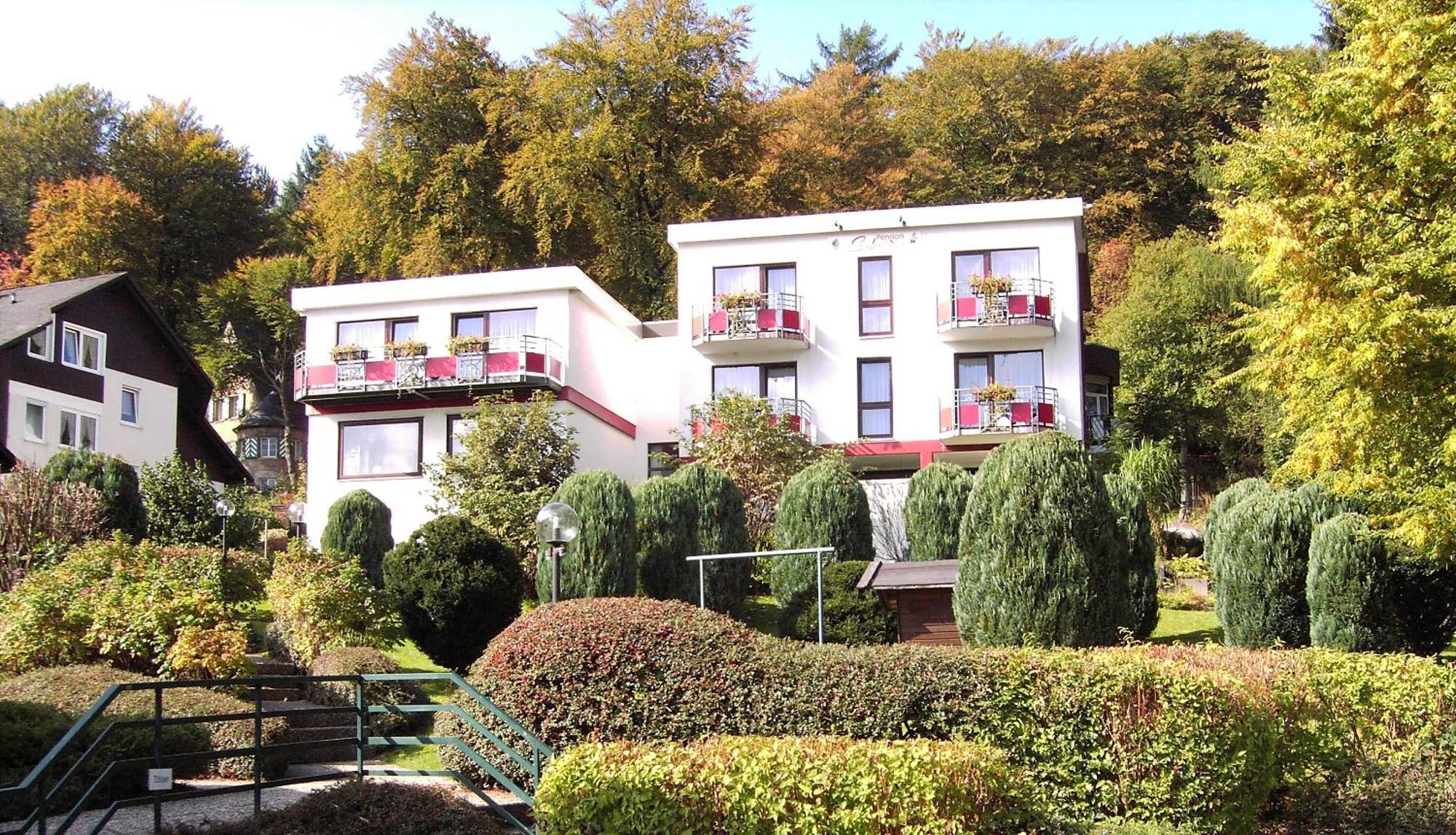 Hotelpension Schroeder Willingen  Dış mekan fotoğraf