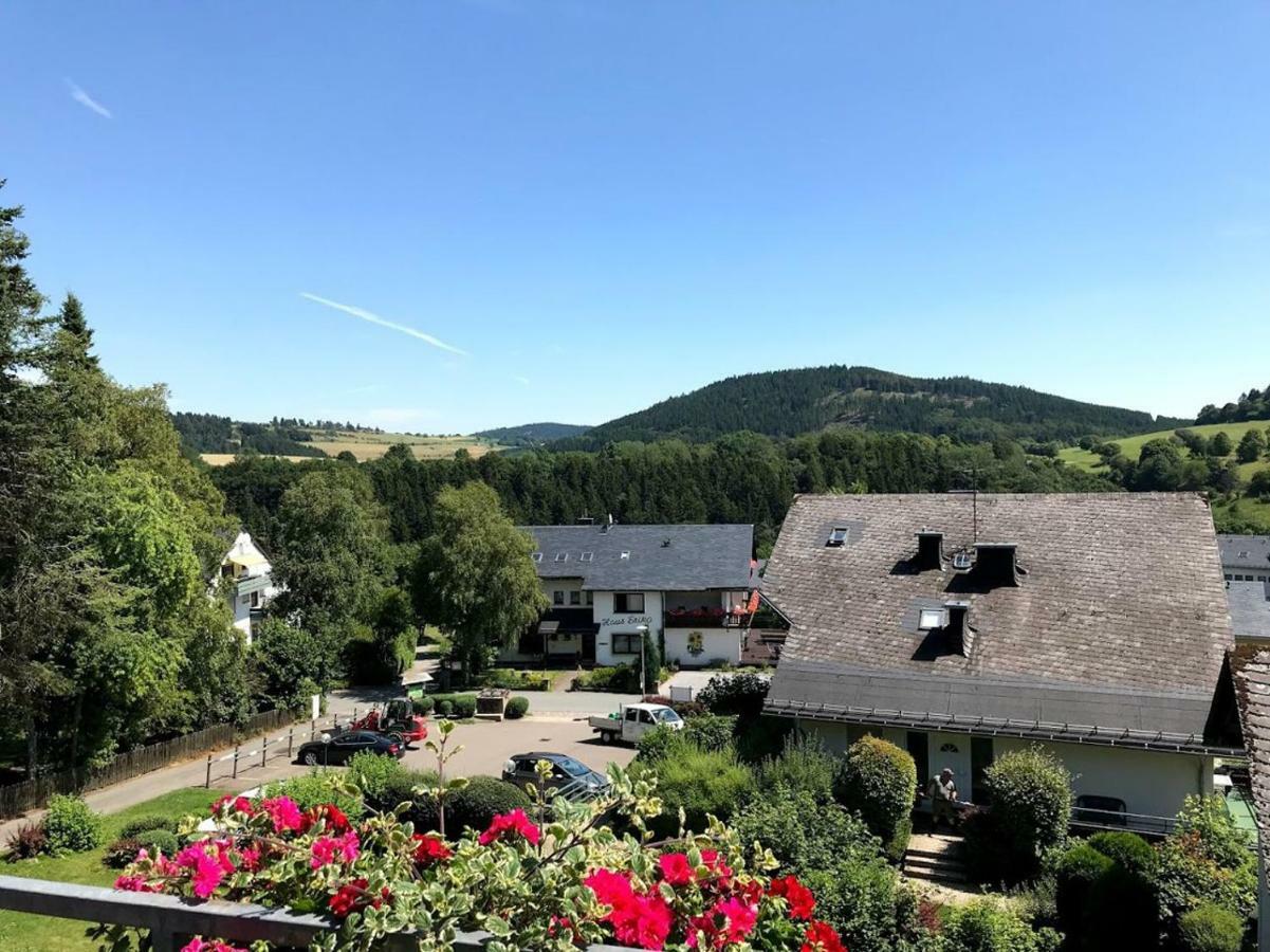 Hotelpension Schroeder Willingen  Dış mekan fotoğraf