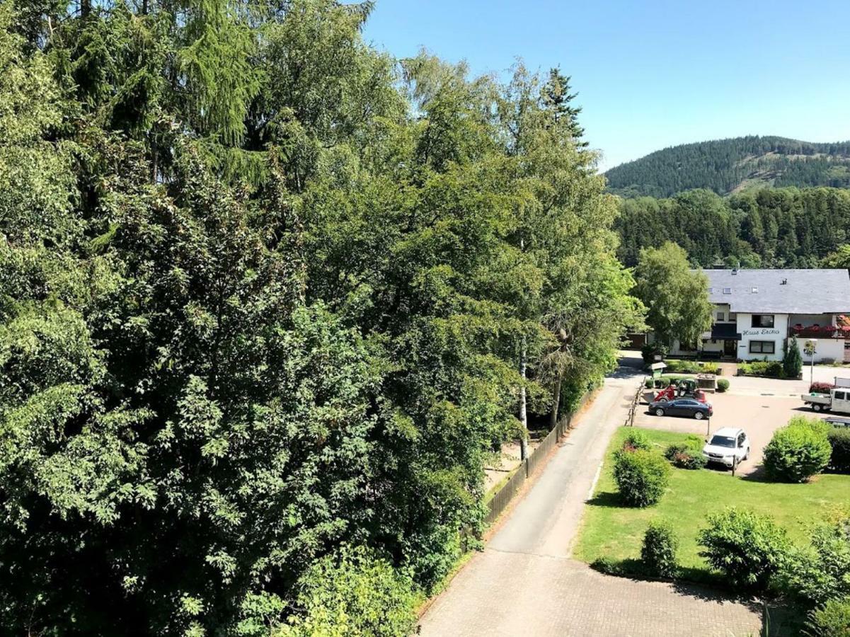 Hotelpension Schroeder Willingen  Dış mekan fotoğraf