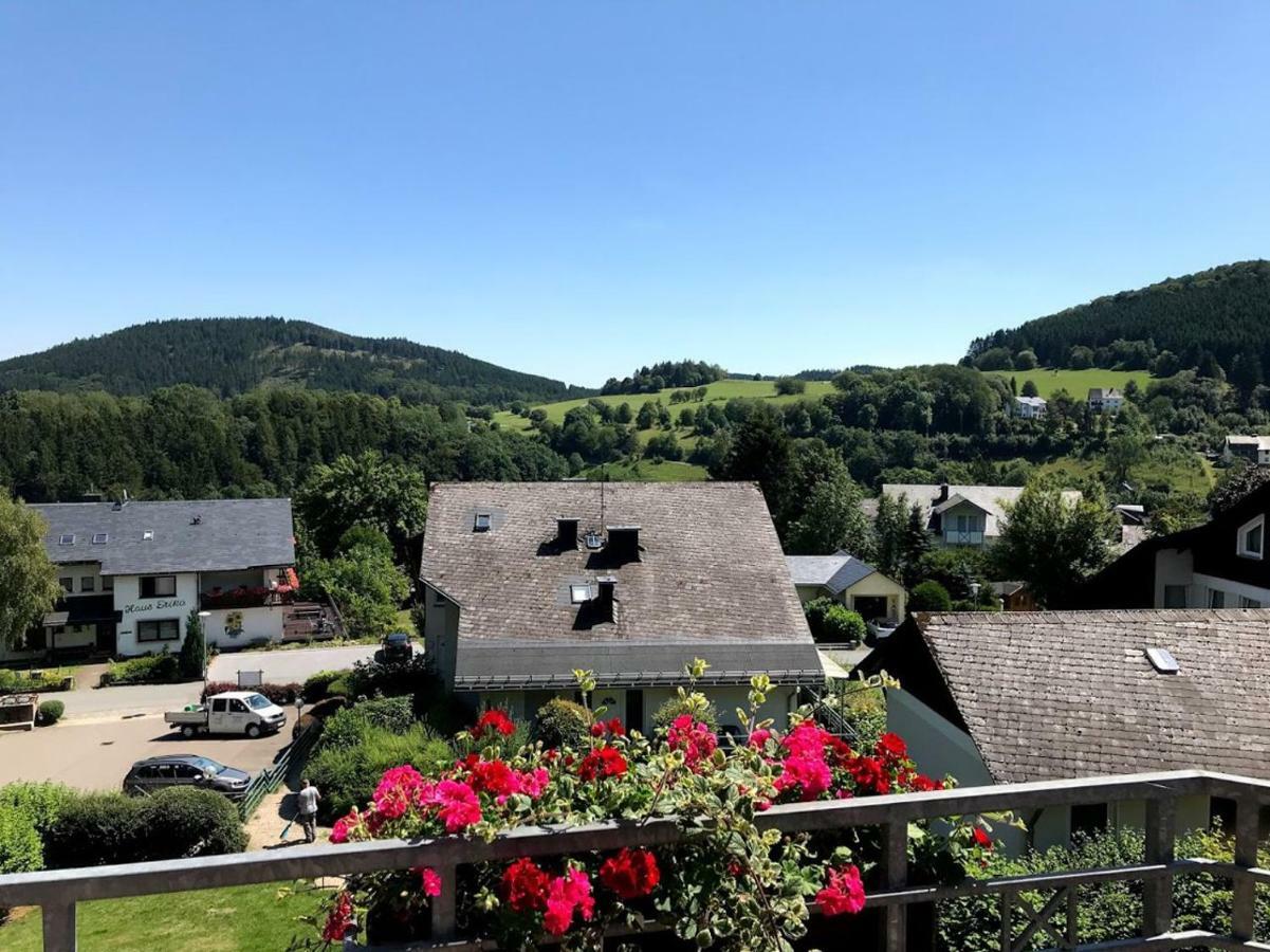 Hotelpension Schroeder Willingen  Dış mekan fotoğraf
